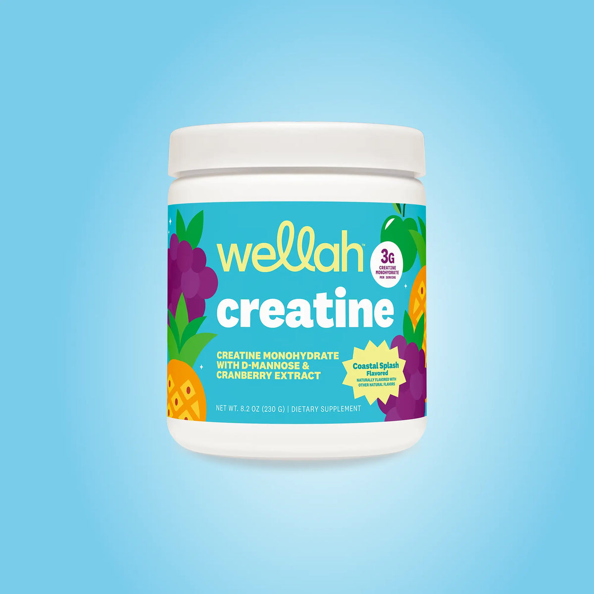 Wellah Nutrition Creatine Monohydrate | 50 Servings | 3G Creatine | Supports Energy, Muscle Recovery & Strength, Cognitive Health Dietary Supplement Powder